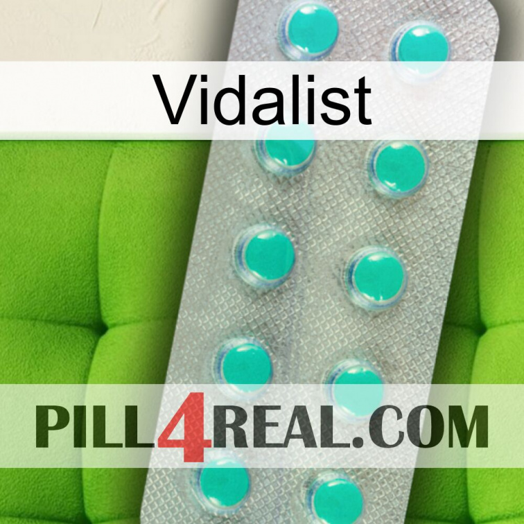 Vidalist 28